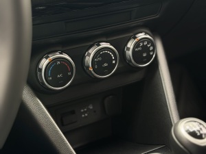 Miniatura 21