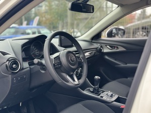 Miniatura 17