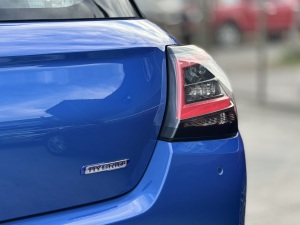 Miniatura 10