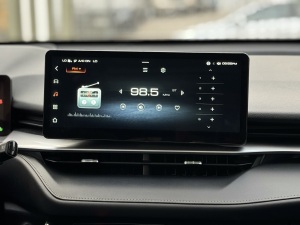 Miniatura 17