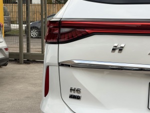 Miniatura 31