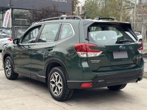 Miniatura 28