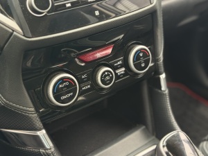 Miniatura 33