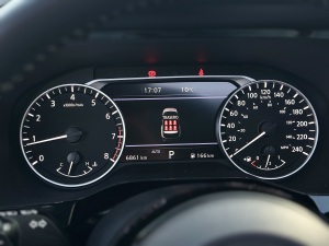 Miniatura 19