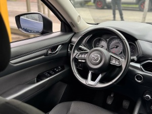 Miniatura 16