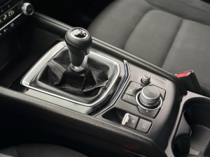 Miniatura 17