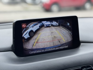 Miniatura 21