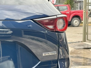 Miniatura 10